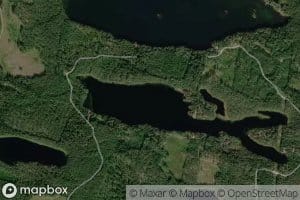 Poikkipuoliainen