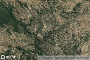 Musk Hog Canyon Spring