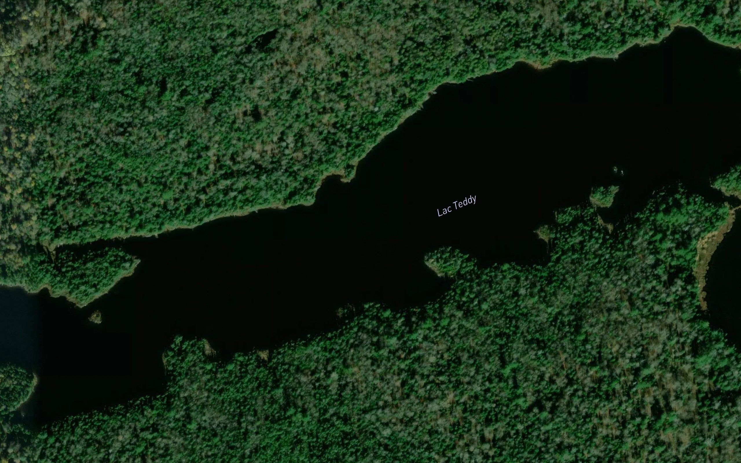 Lac Teddy