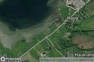 Haugosen