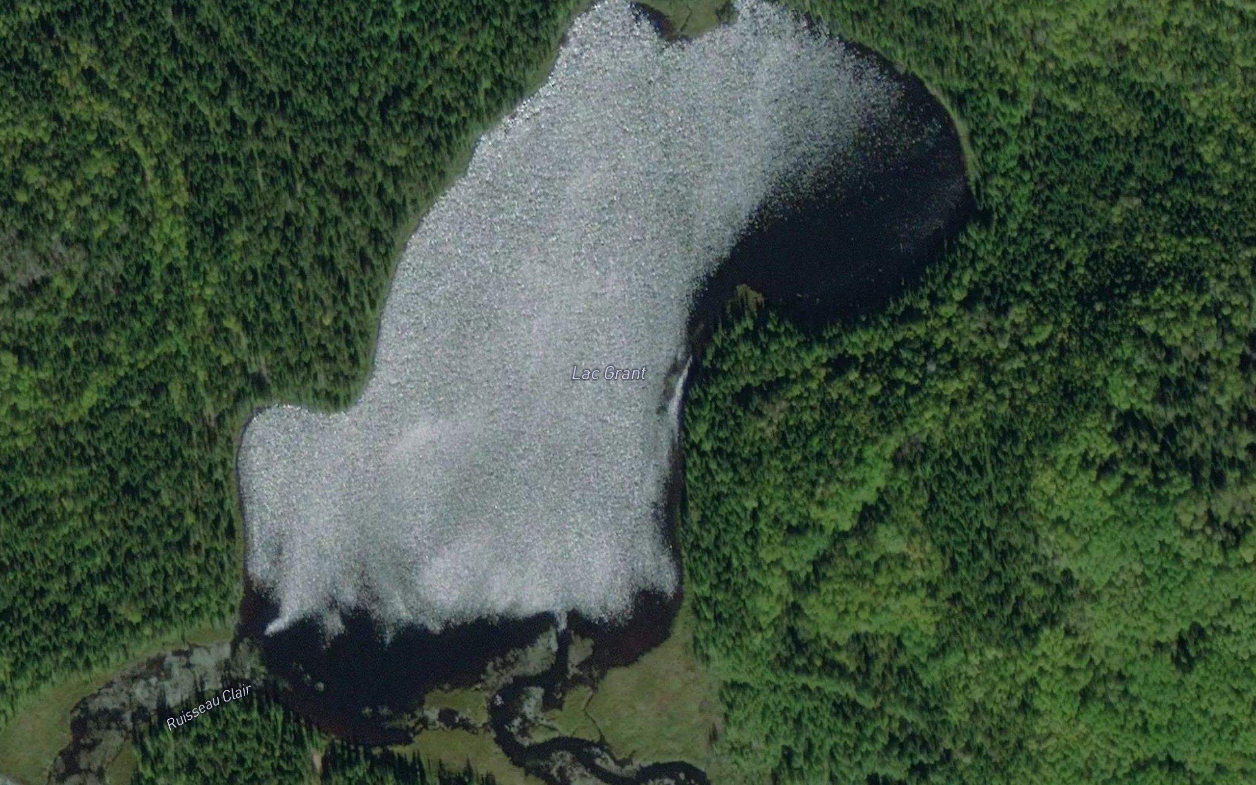 Lac Grant