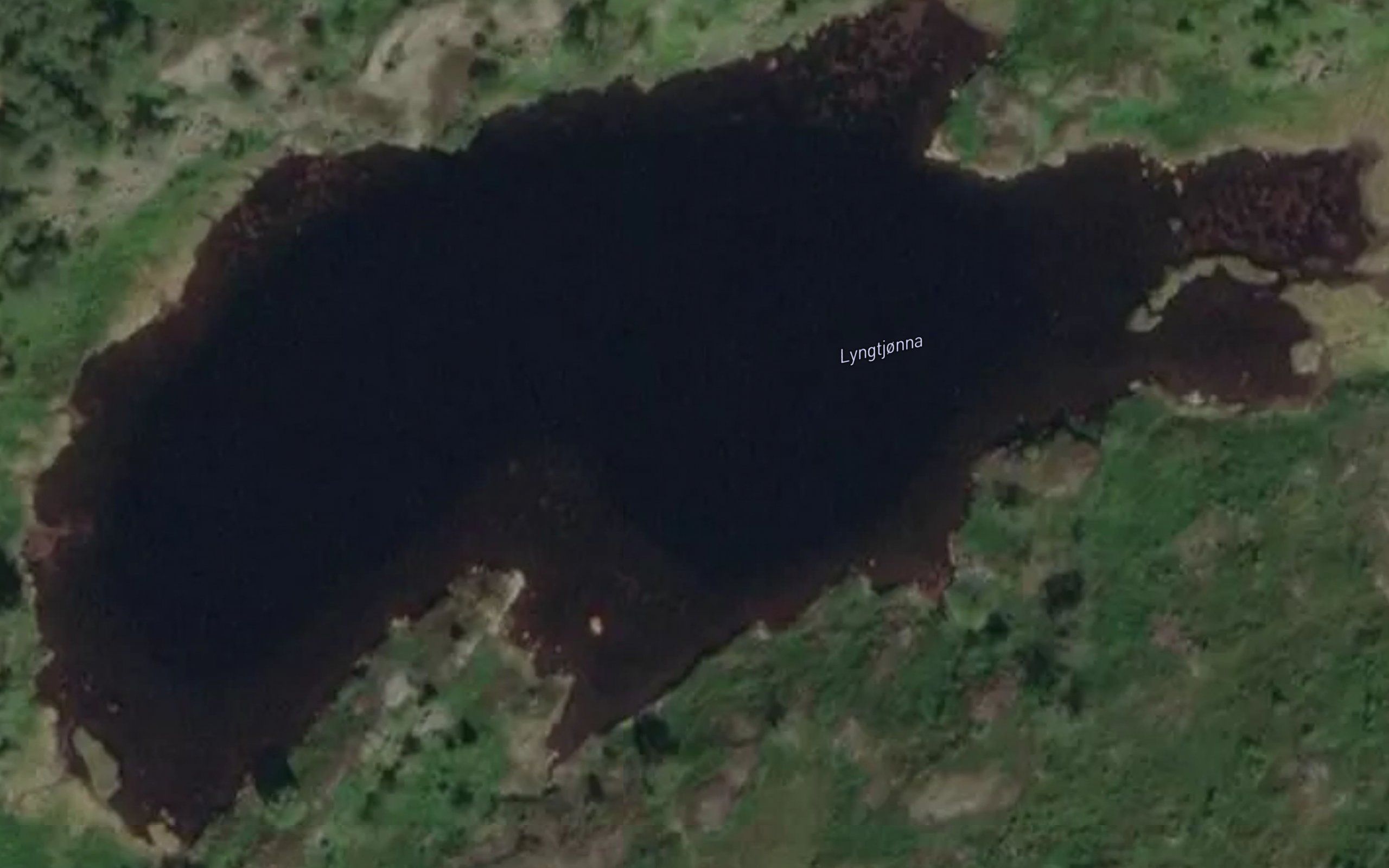 Lyngtjonna