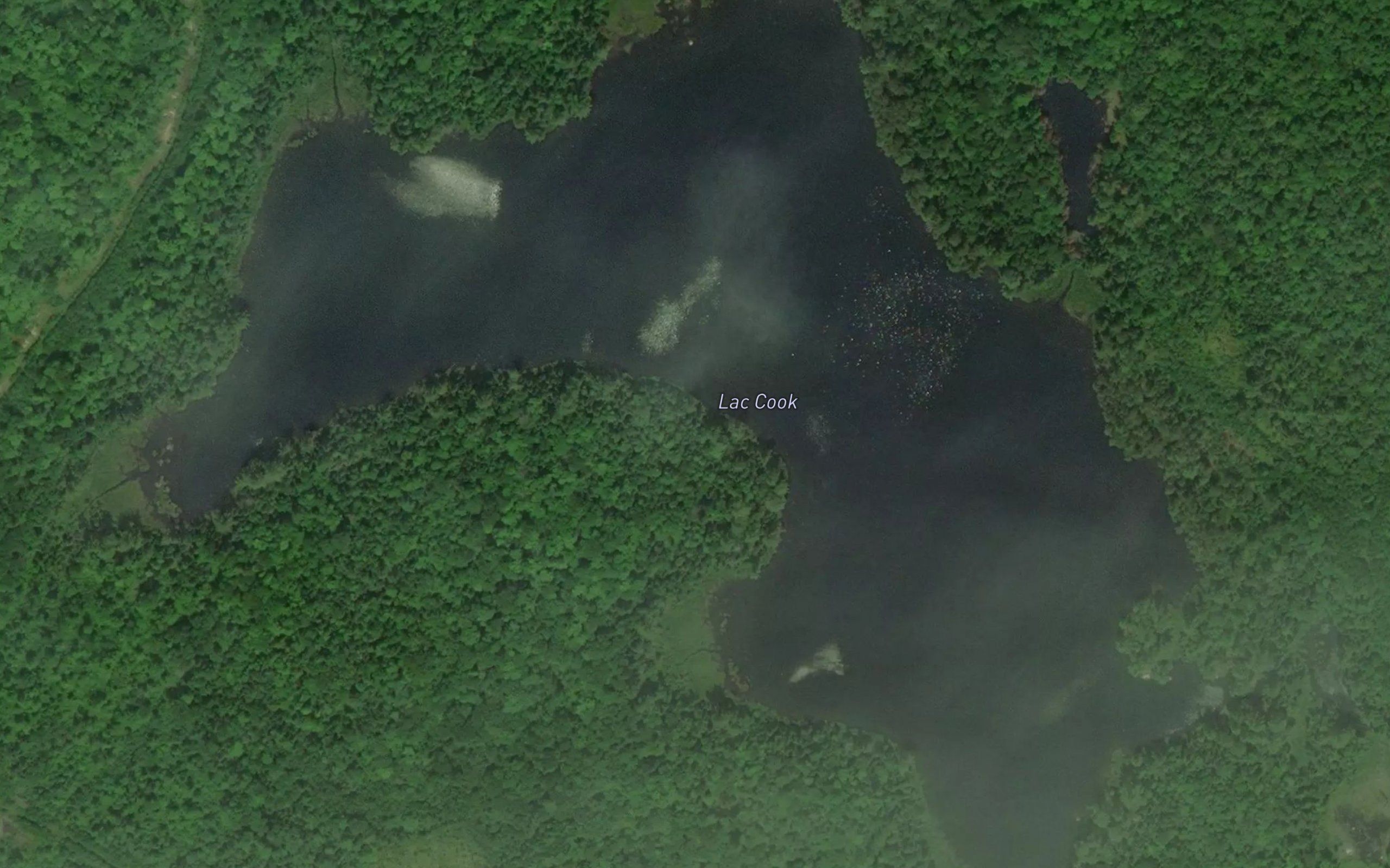 Lac Cook