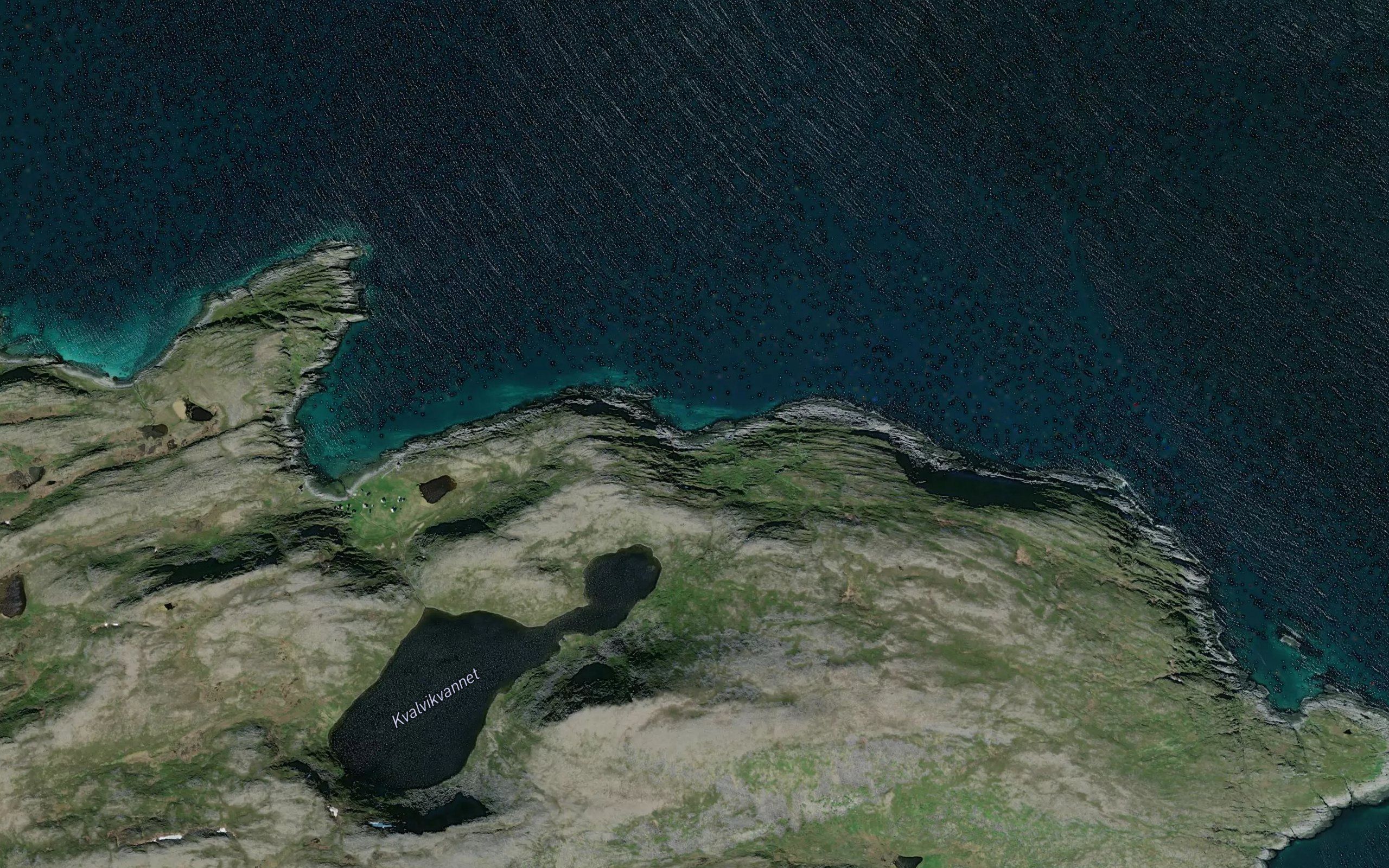 Mortenbukta