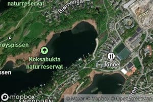 Koksa