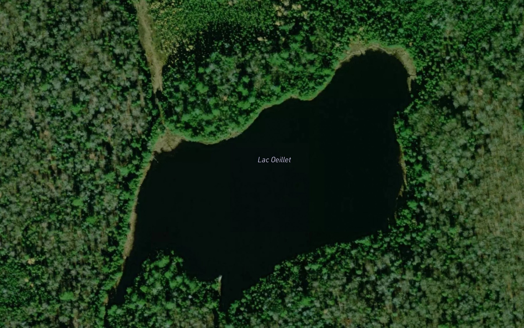 Satellite map of the Lac Oeillet