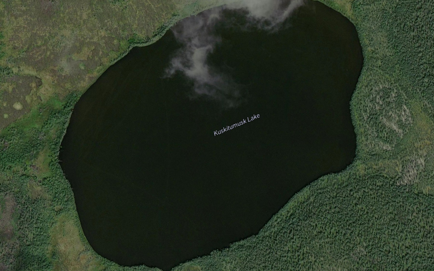 Satellite map of the Kuskitumusk Lake