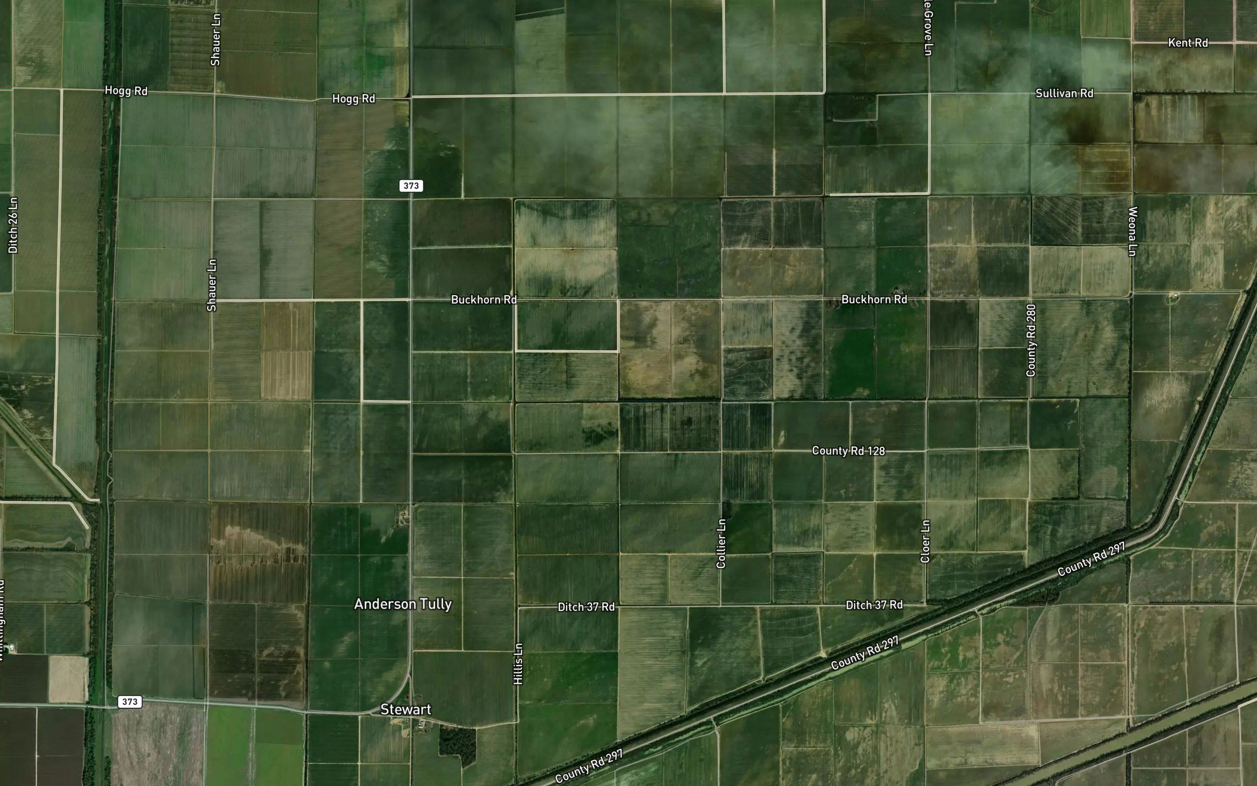 Ditch Number 38