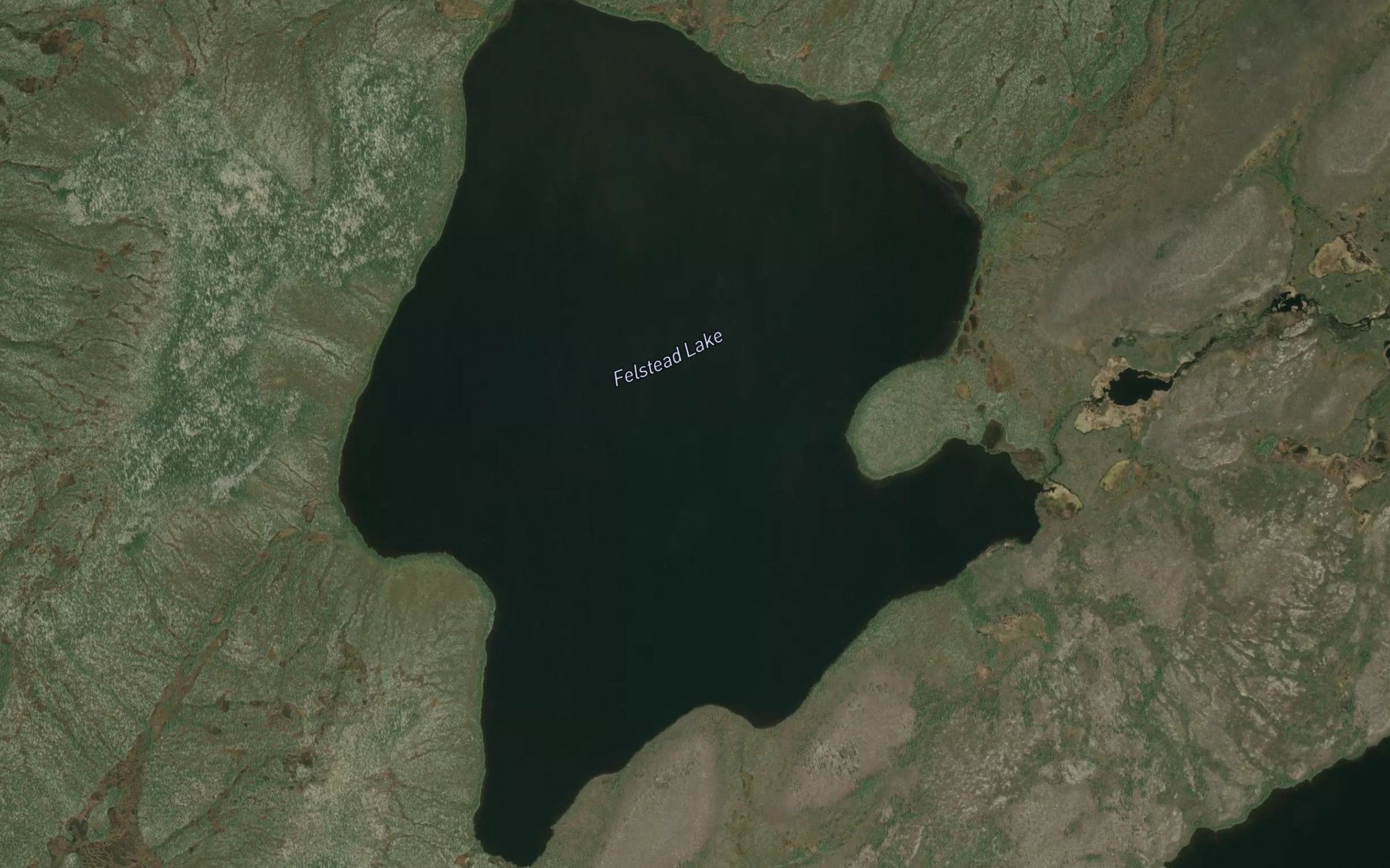 Satellite map of the Felstead Lake