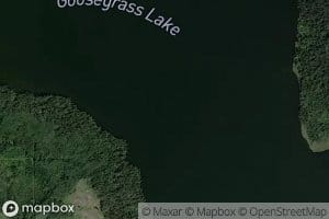 Goosegrass Lake