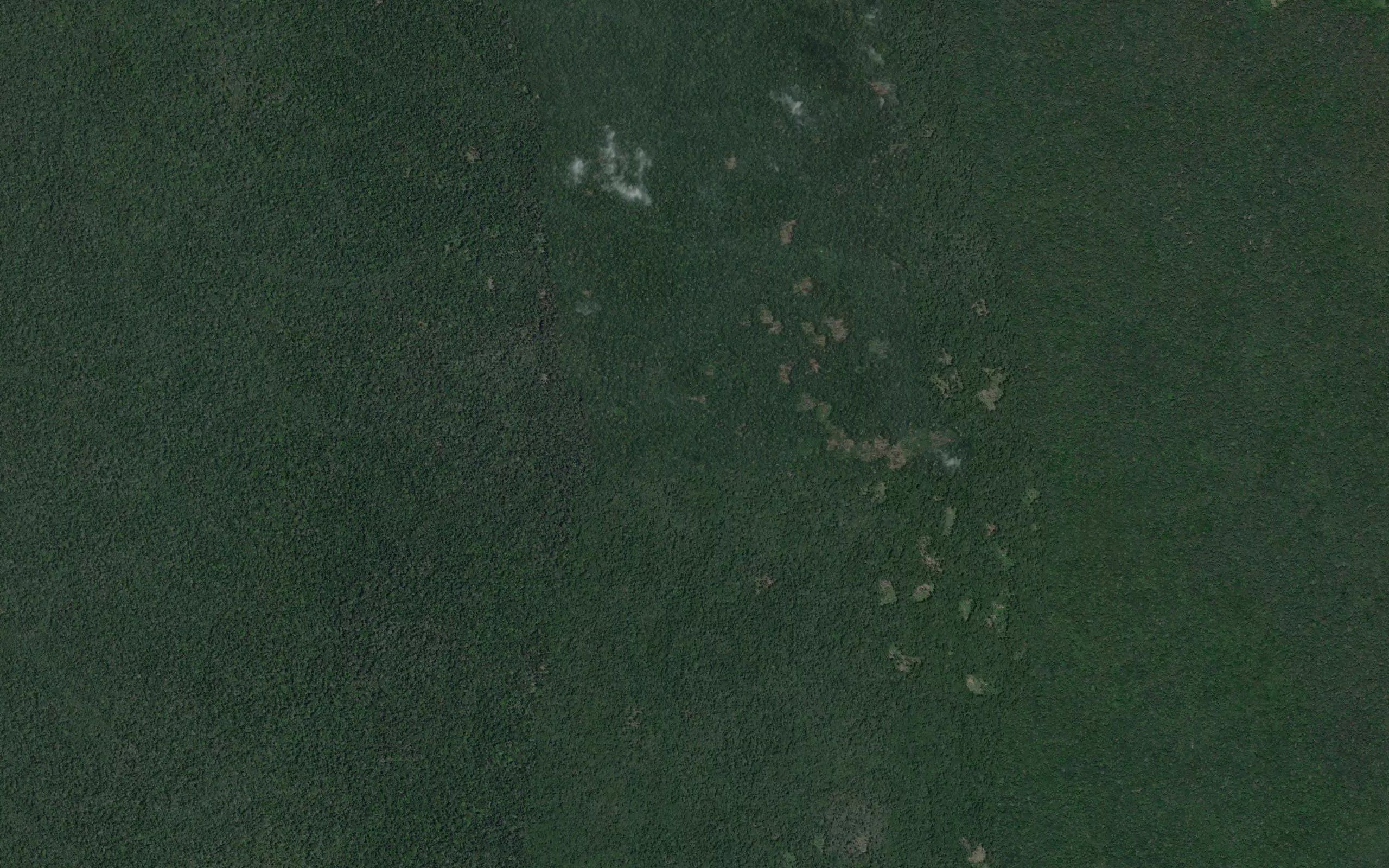 Kangaboia