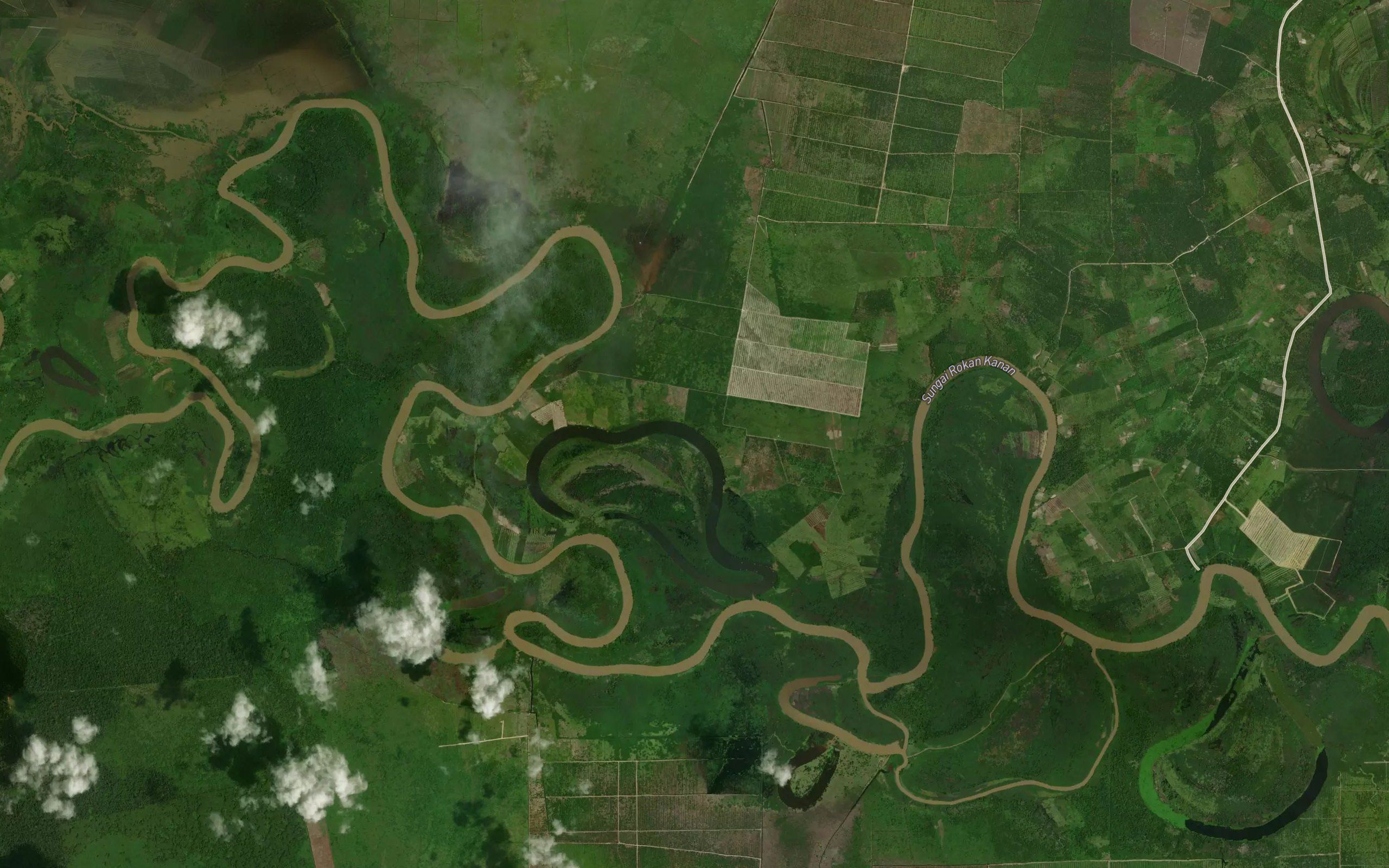 Danau Raya