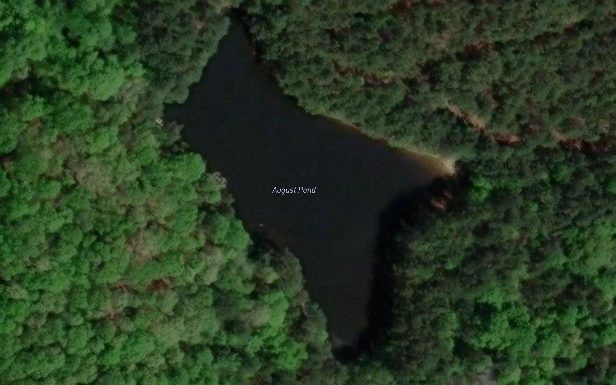 August Pond