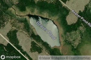 Beaver Pond