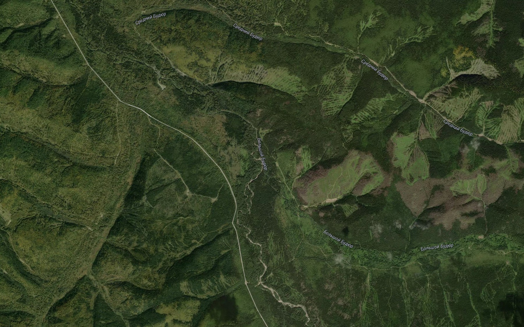 Satellite map of the Bol'shoy Budyur Levyy