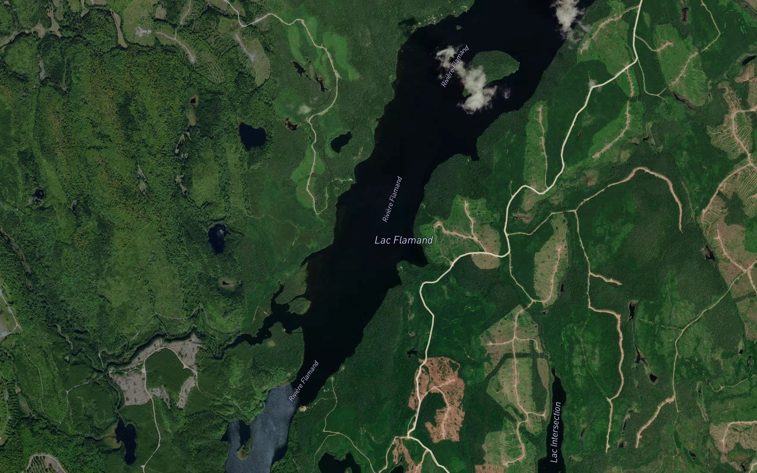 Baie du Bouleau Blanc