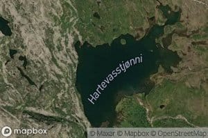 Hartevasstjonn