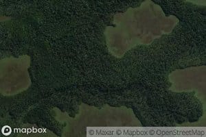 Nerger Creek North Branch