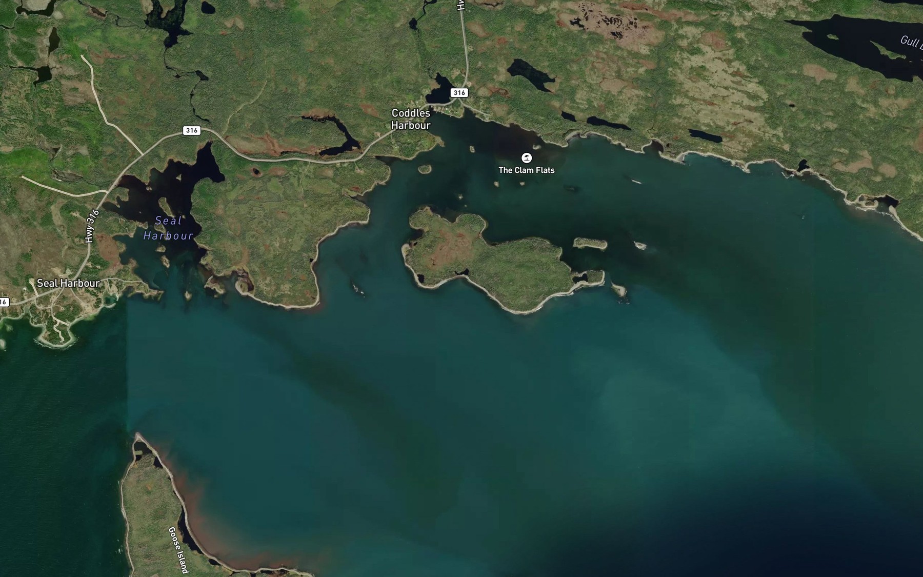 Satellite map of the Kelp Cove