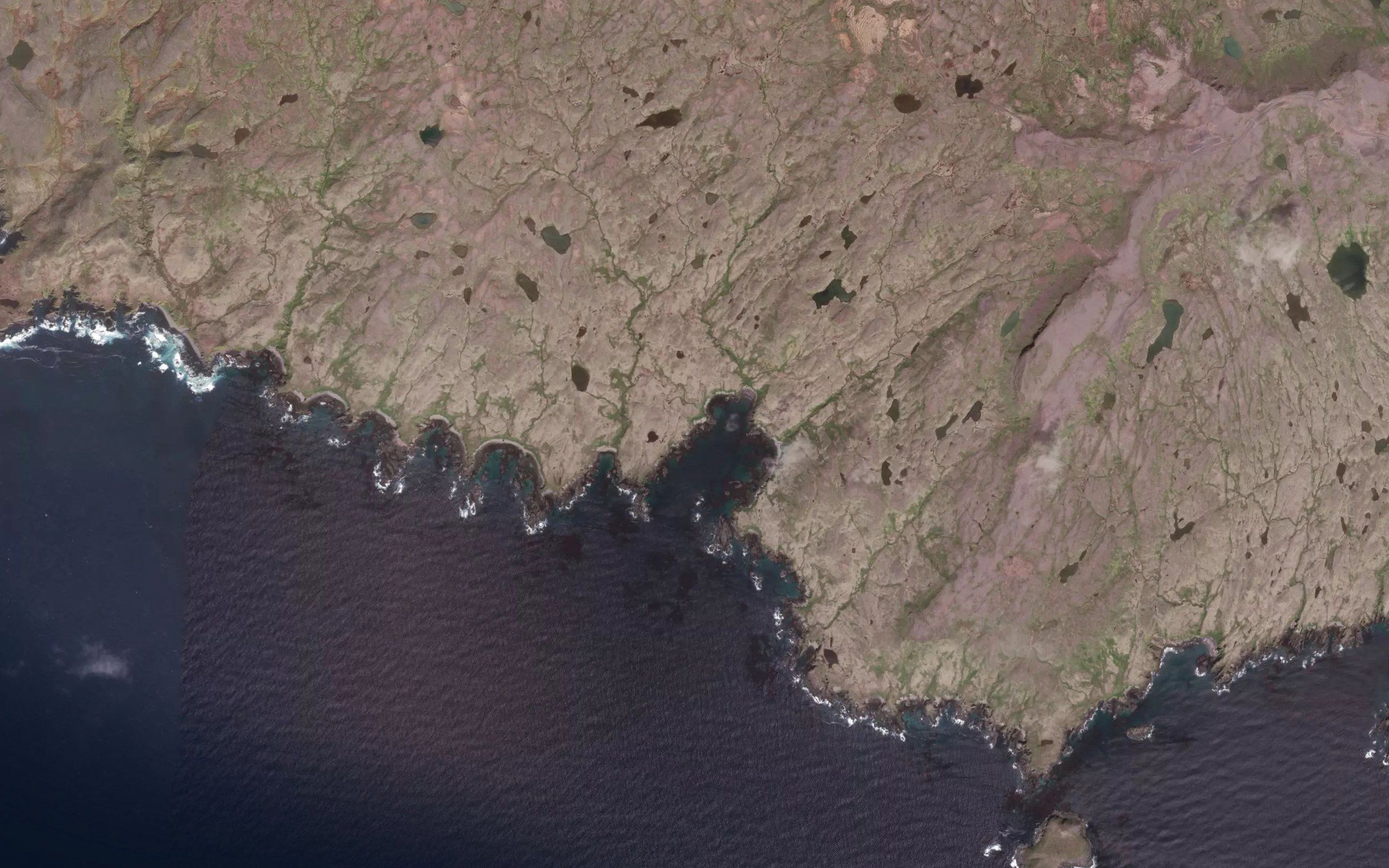 Signal Cove