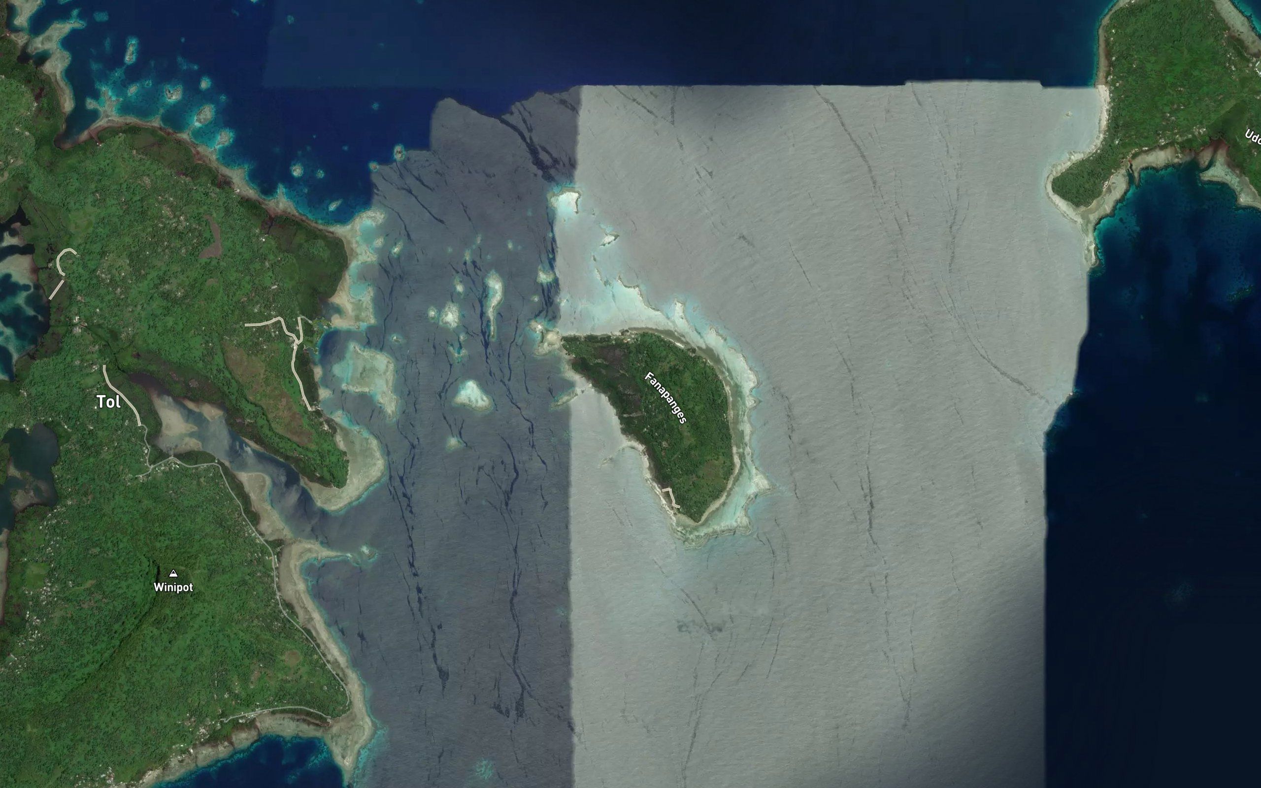 Mangrove Swamps