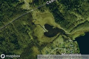 Kosaritsa