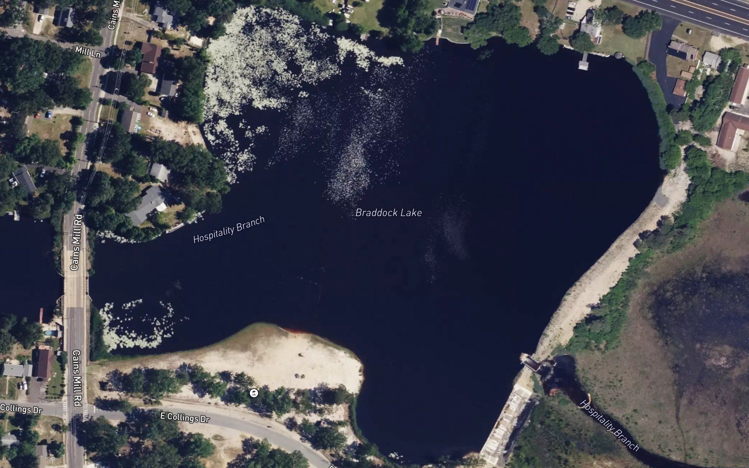 Braddock Lake