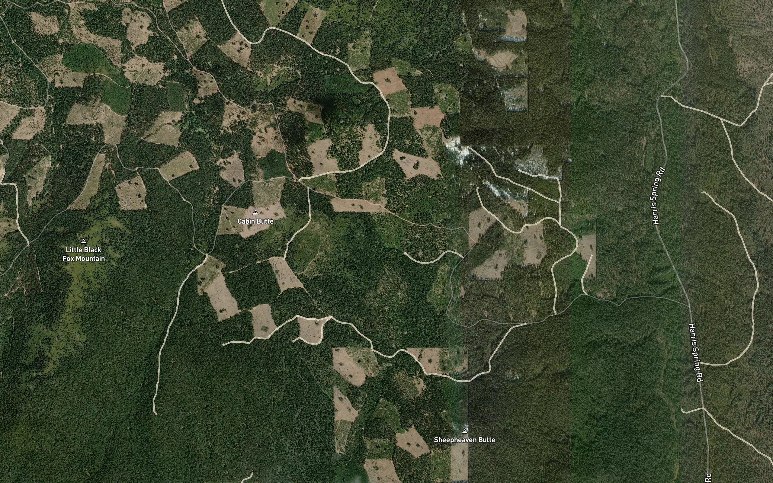 Buck Mountain Spring