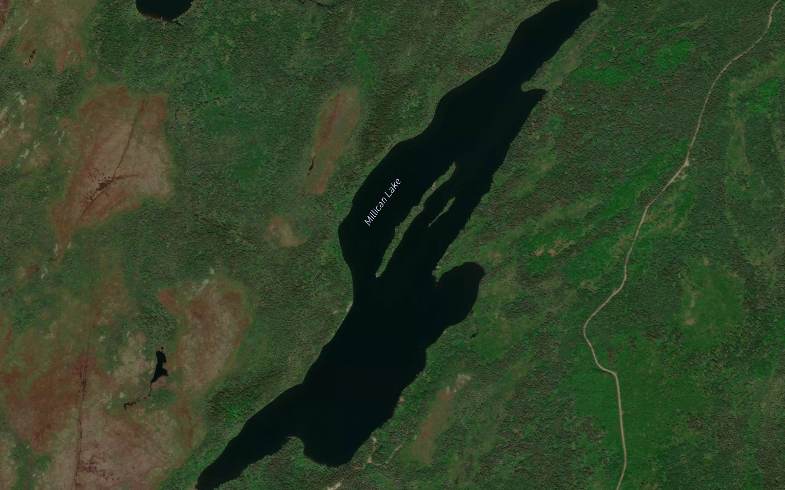 Millican Lake