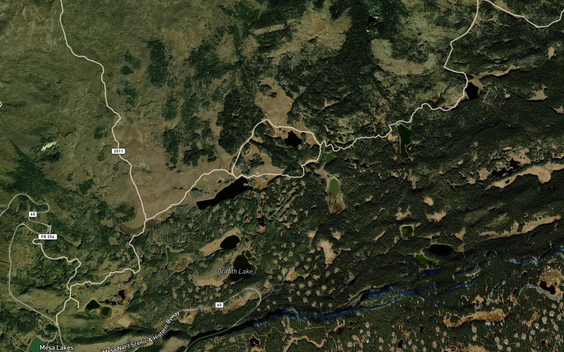 Satellite map of the Whale Reservoir
