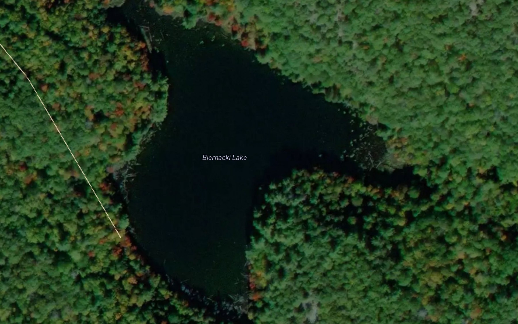 Satellite map of the Biernacki Lake