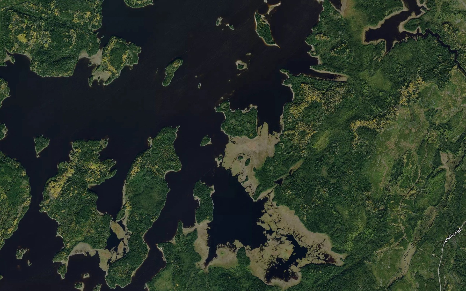Satellite map of the Gynane Bay