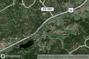 Long Hollow Creek