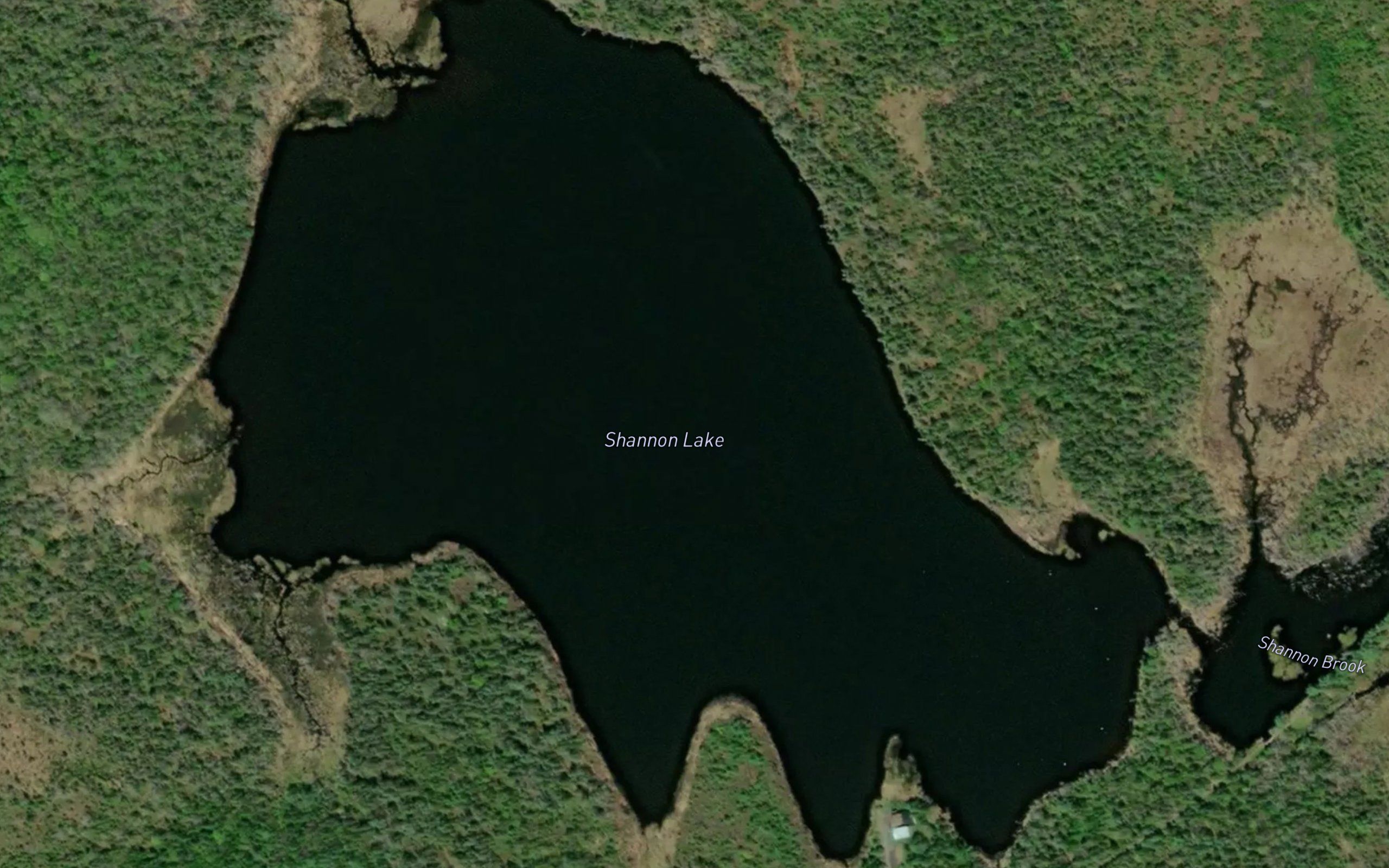 Shannon Lake