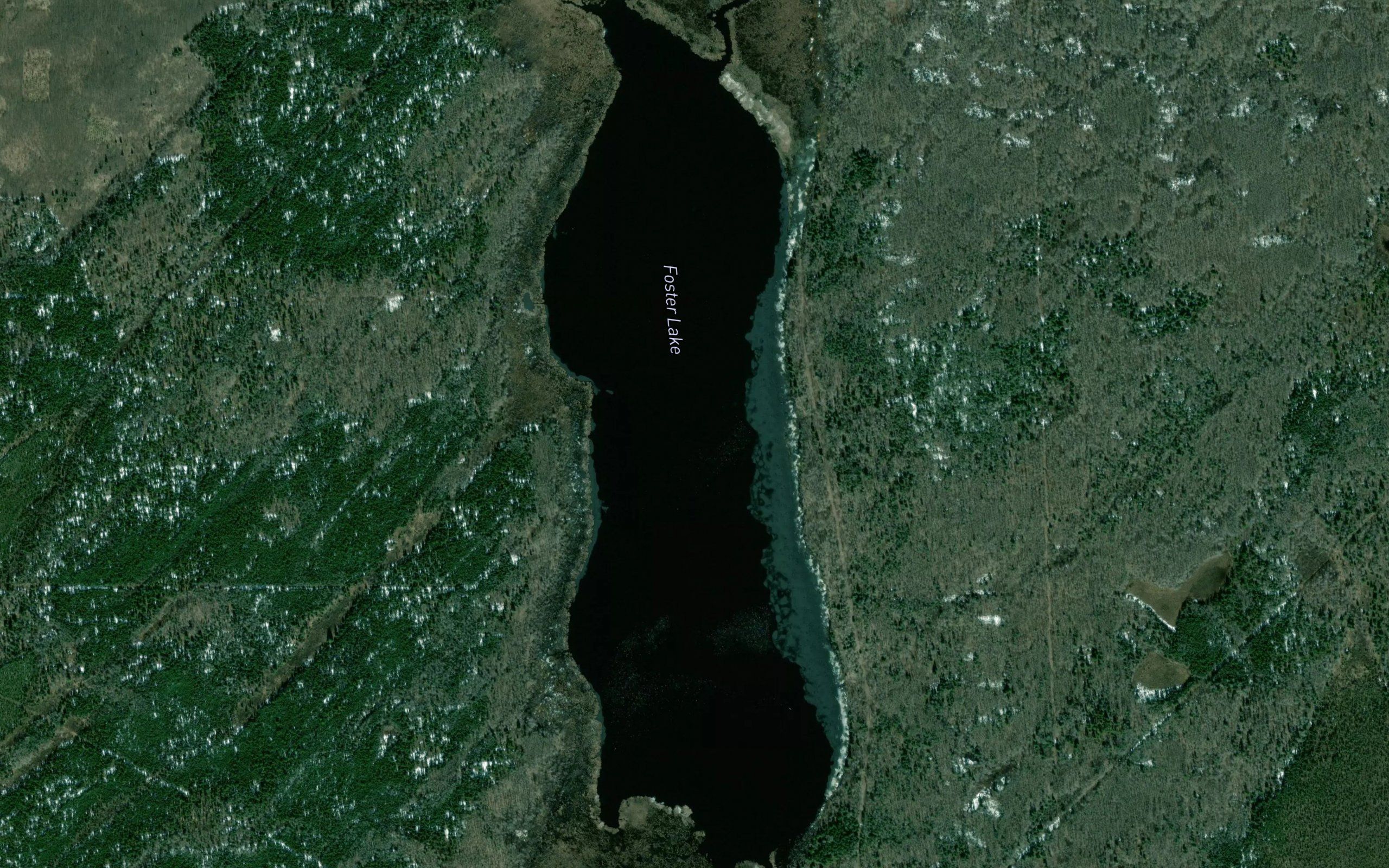 Foster Lake