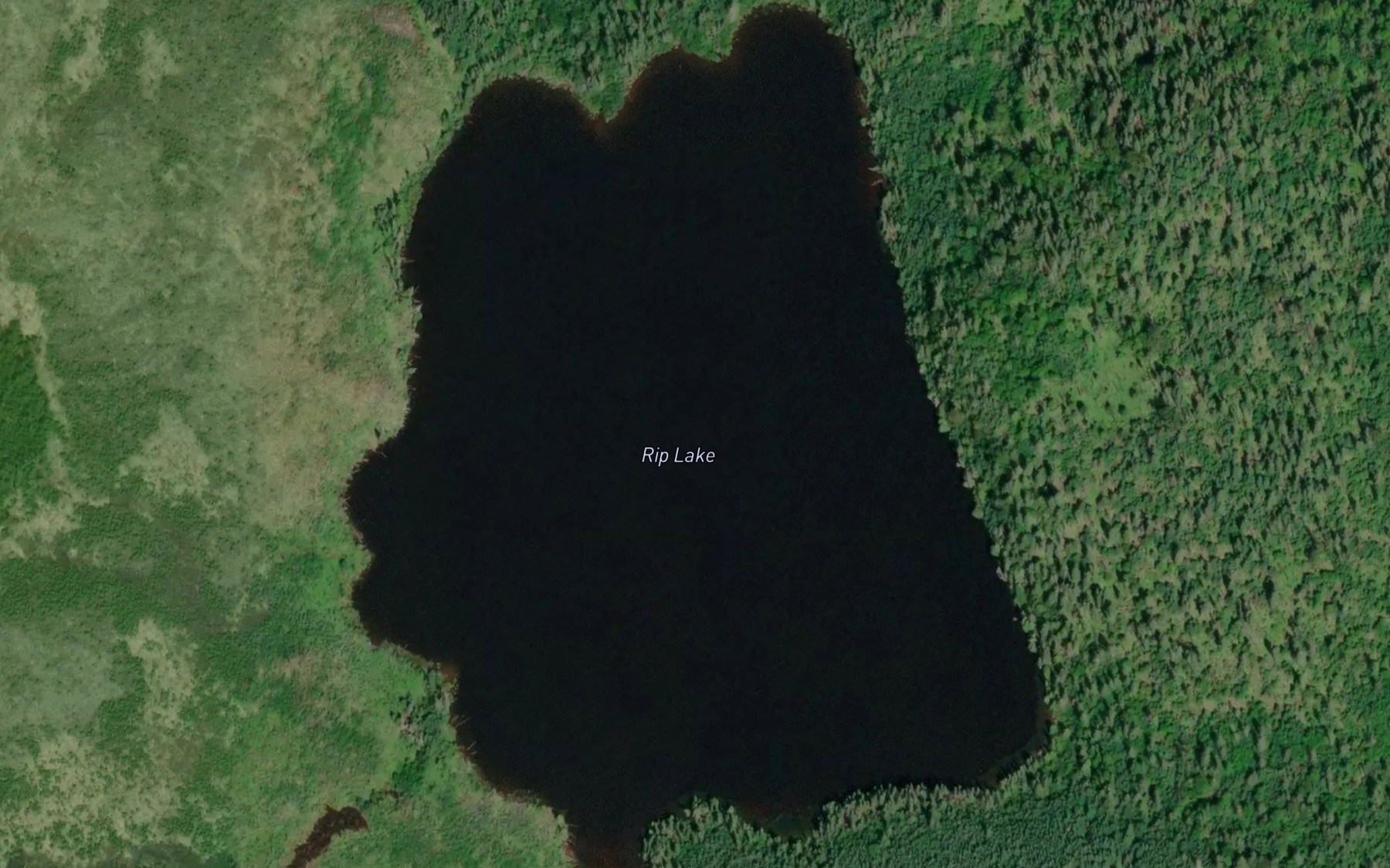 Satellite map of the Rip Lake