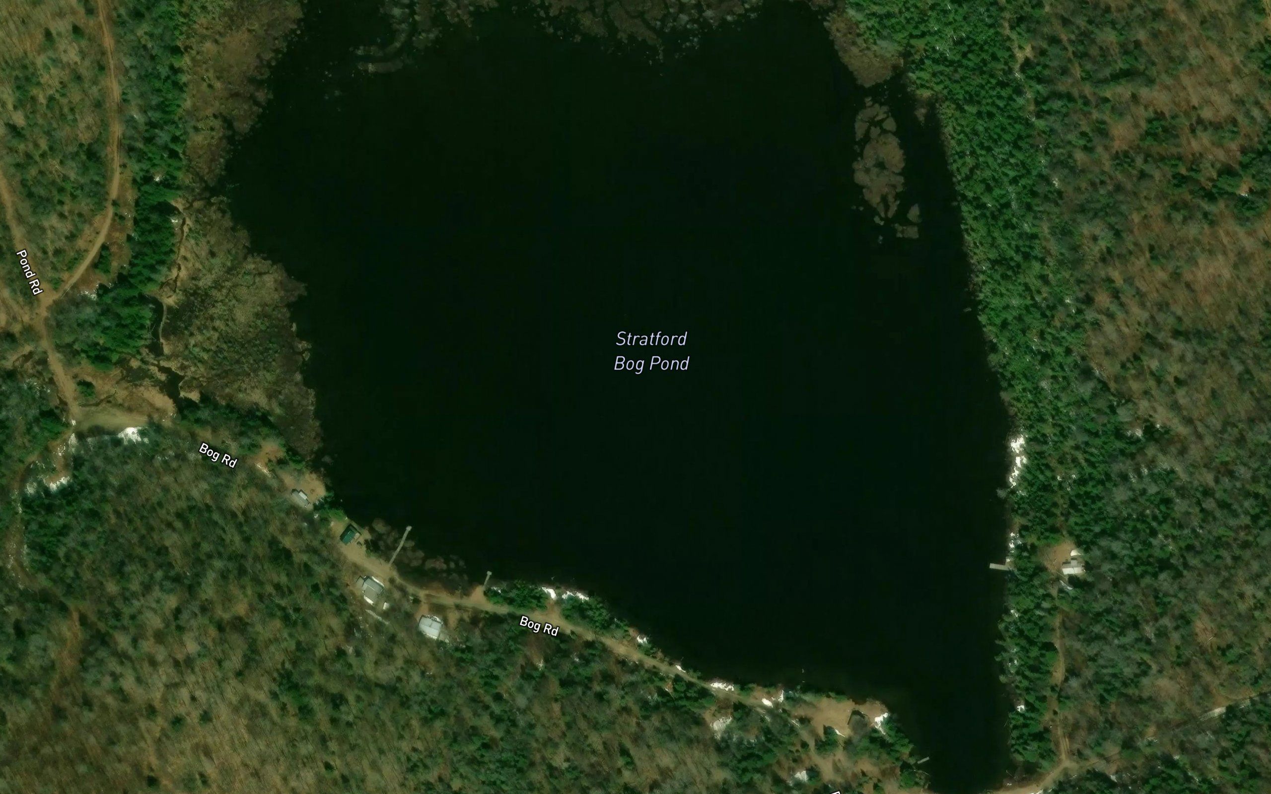 Stratford Bog Pond
