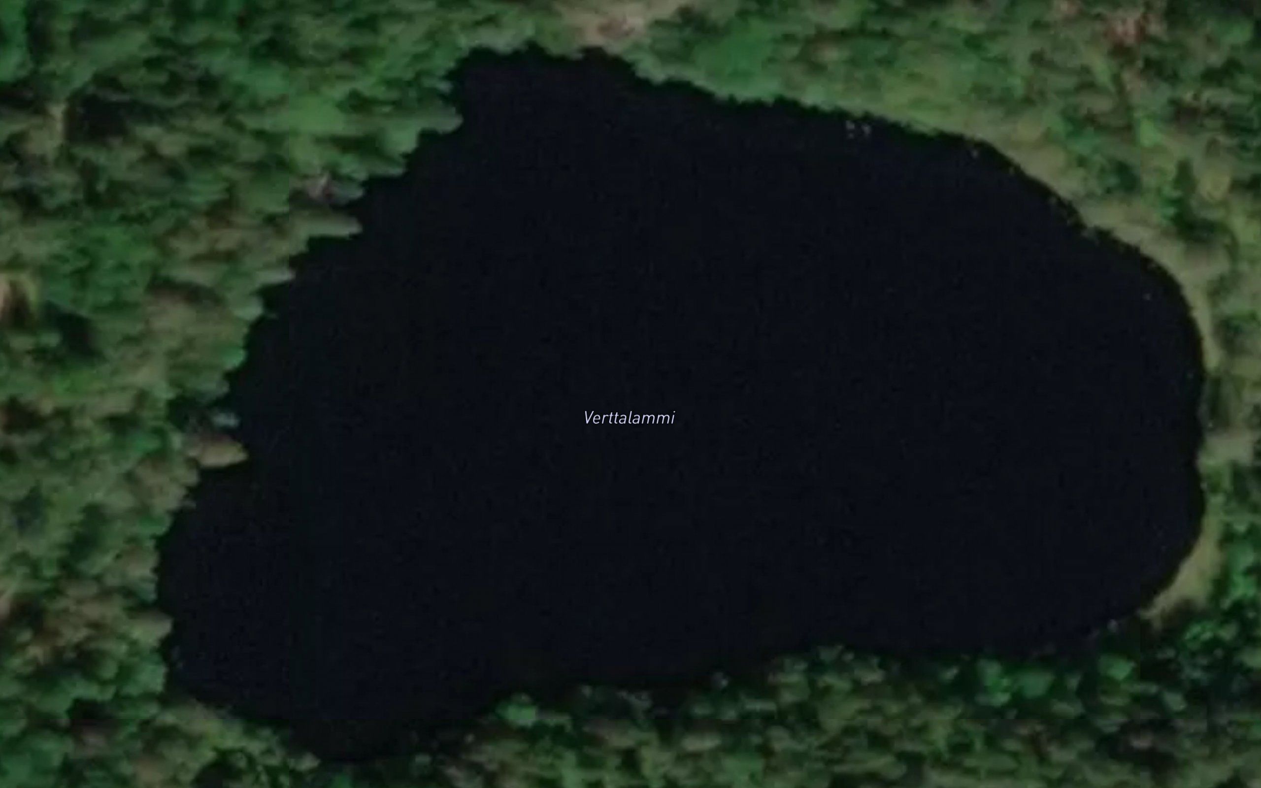 Verttalammi