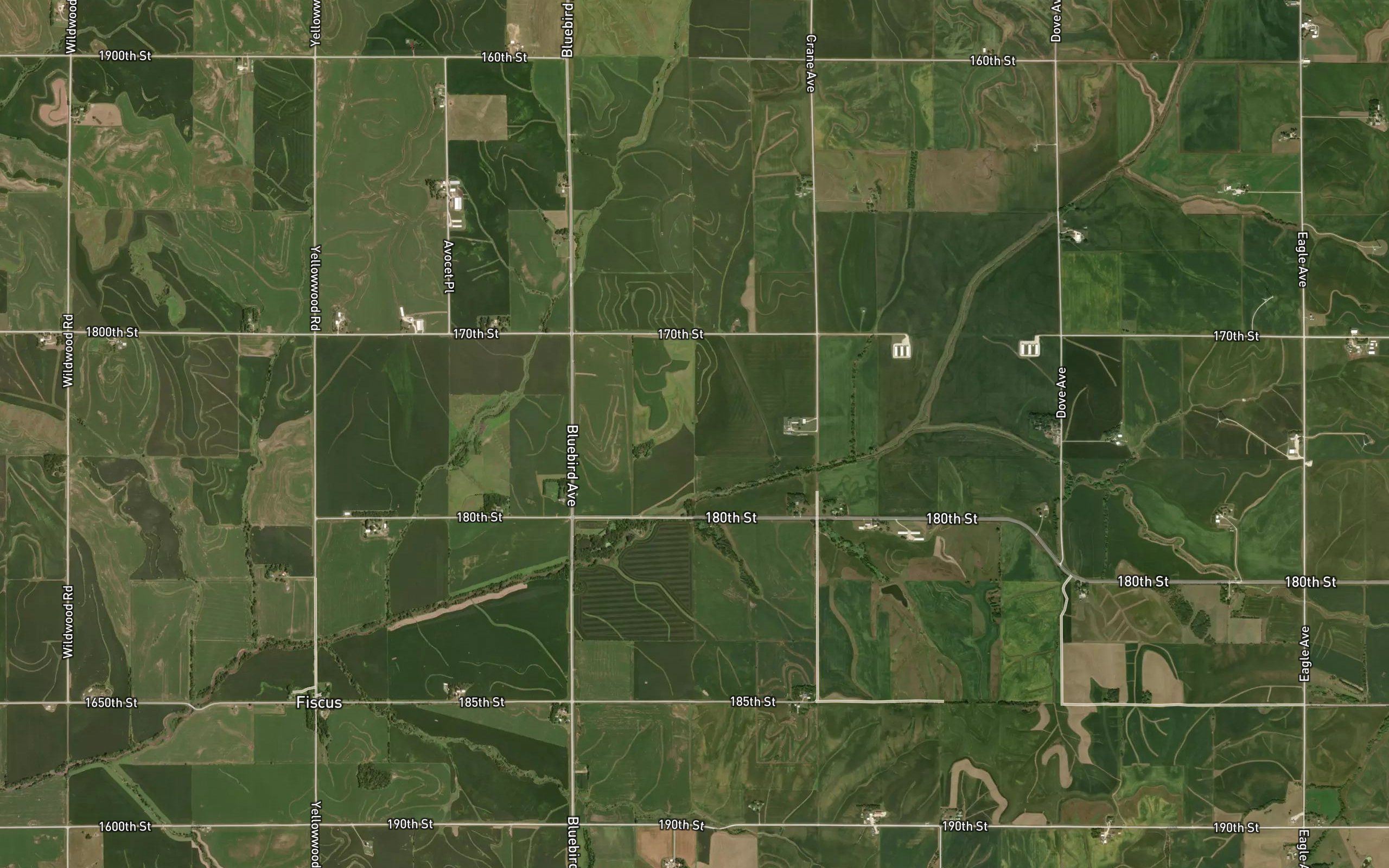 Lone Willow Creek