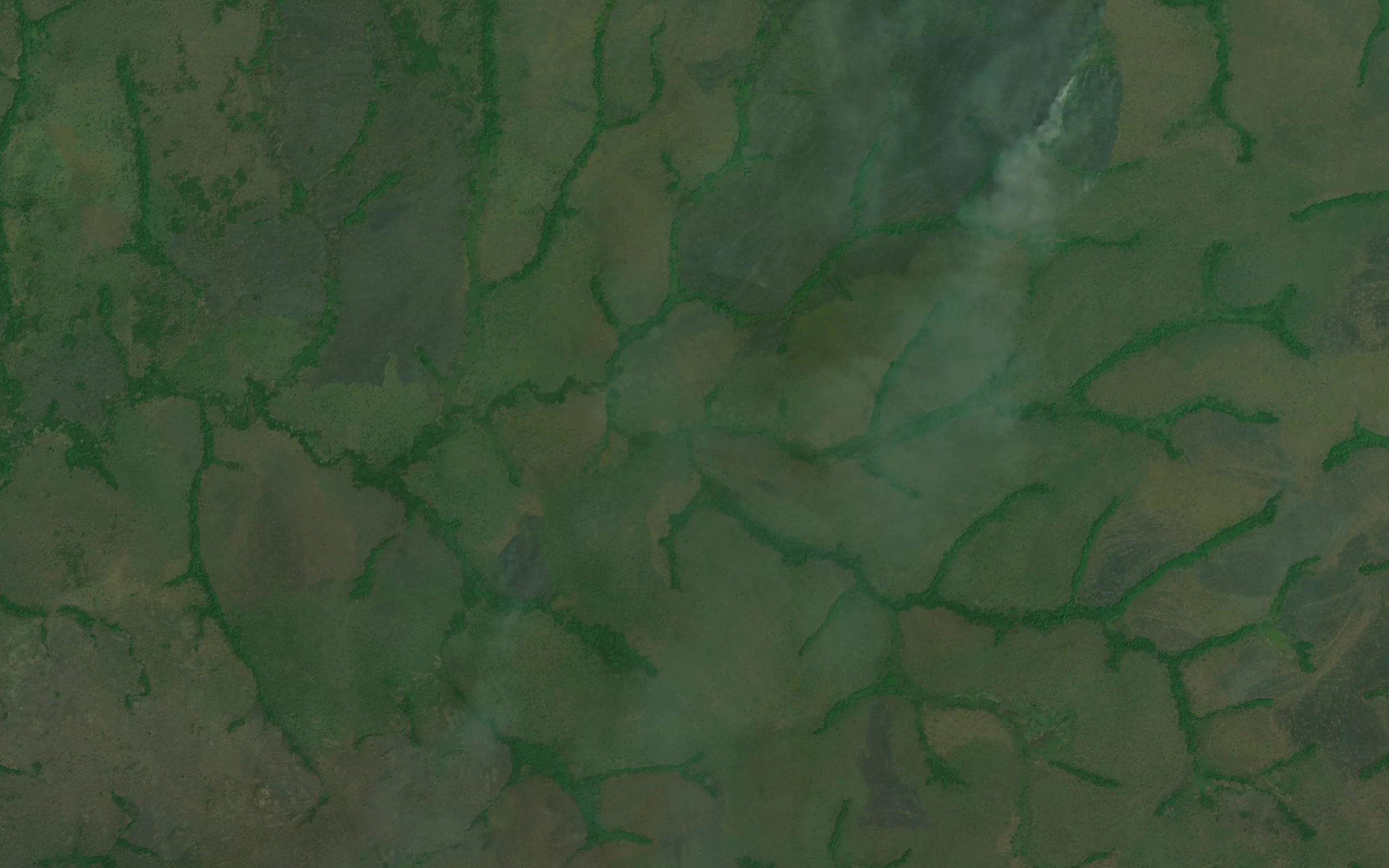 Nangulu