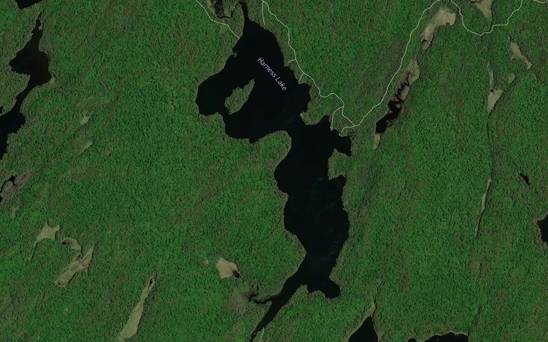 Satellite map of the Harness Lake