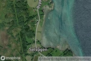 Selvagen