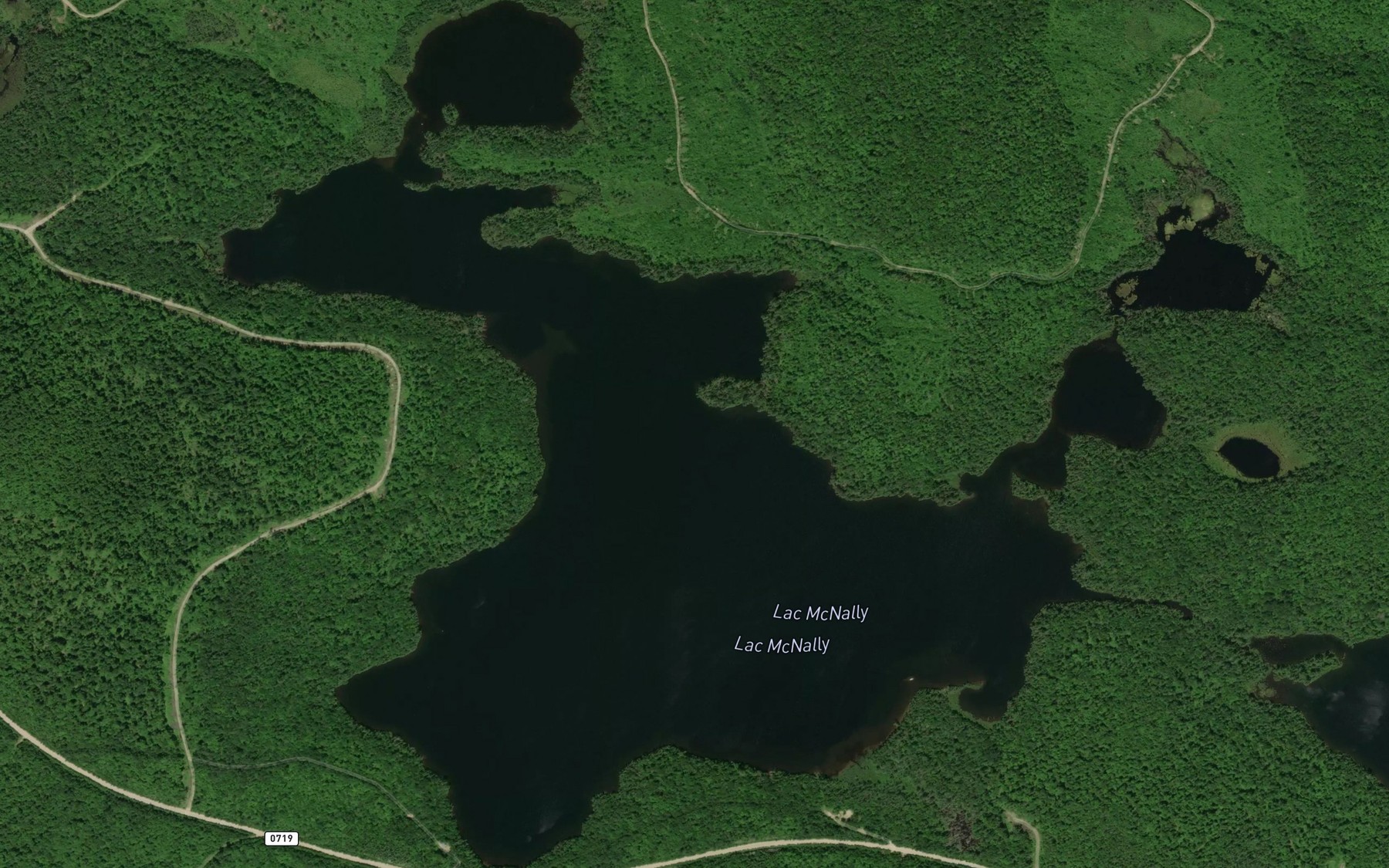 Satellite map of the Lac McNally