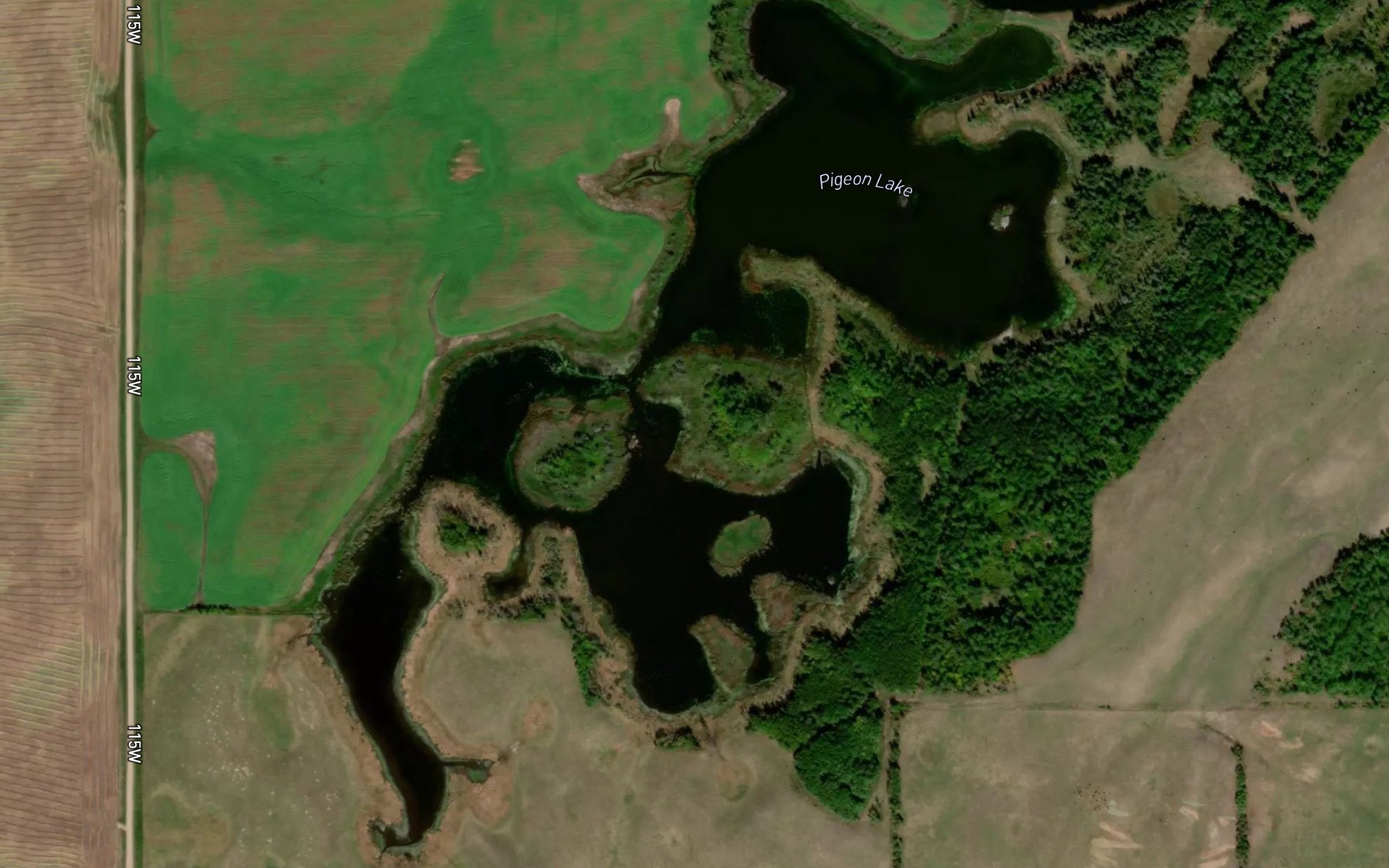 Satellite map of the Pigeon Lake