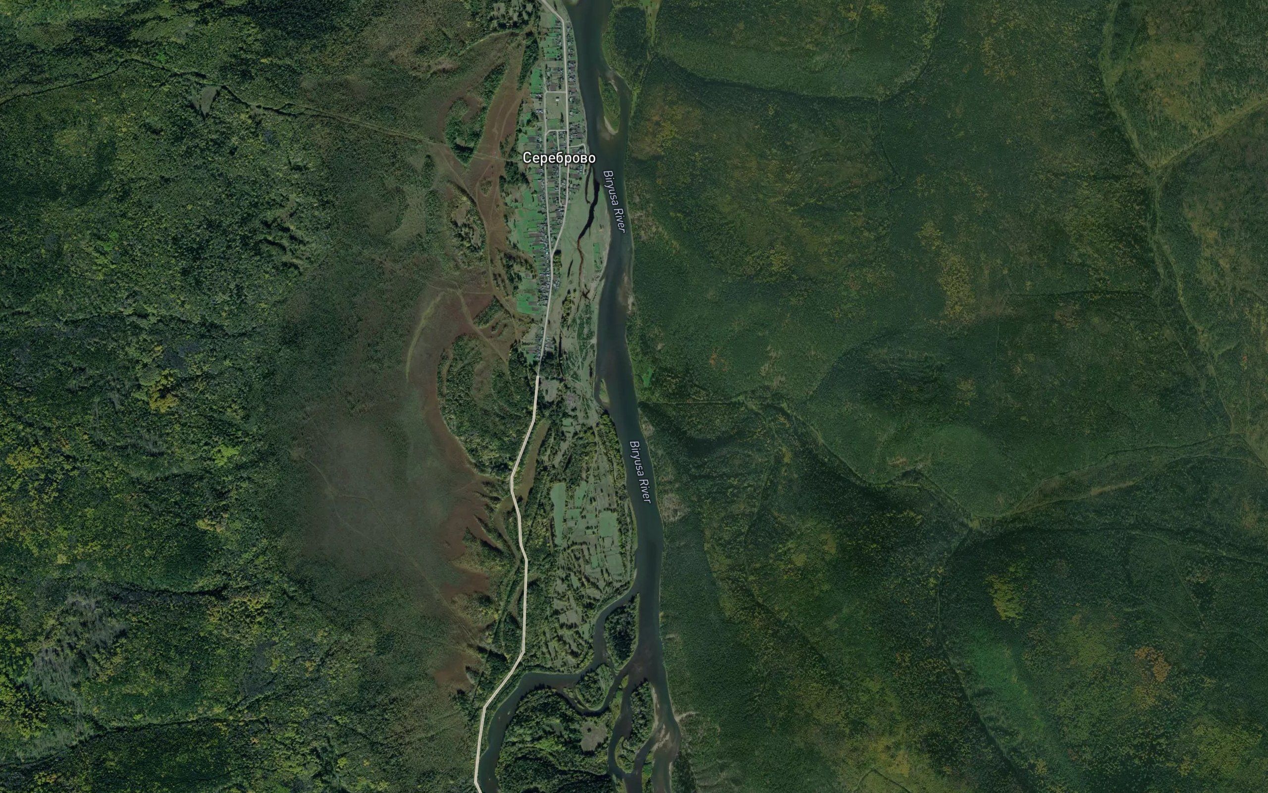 Yamnaya