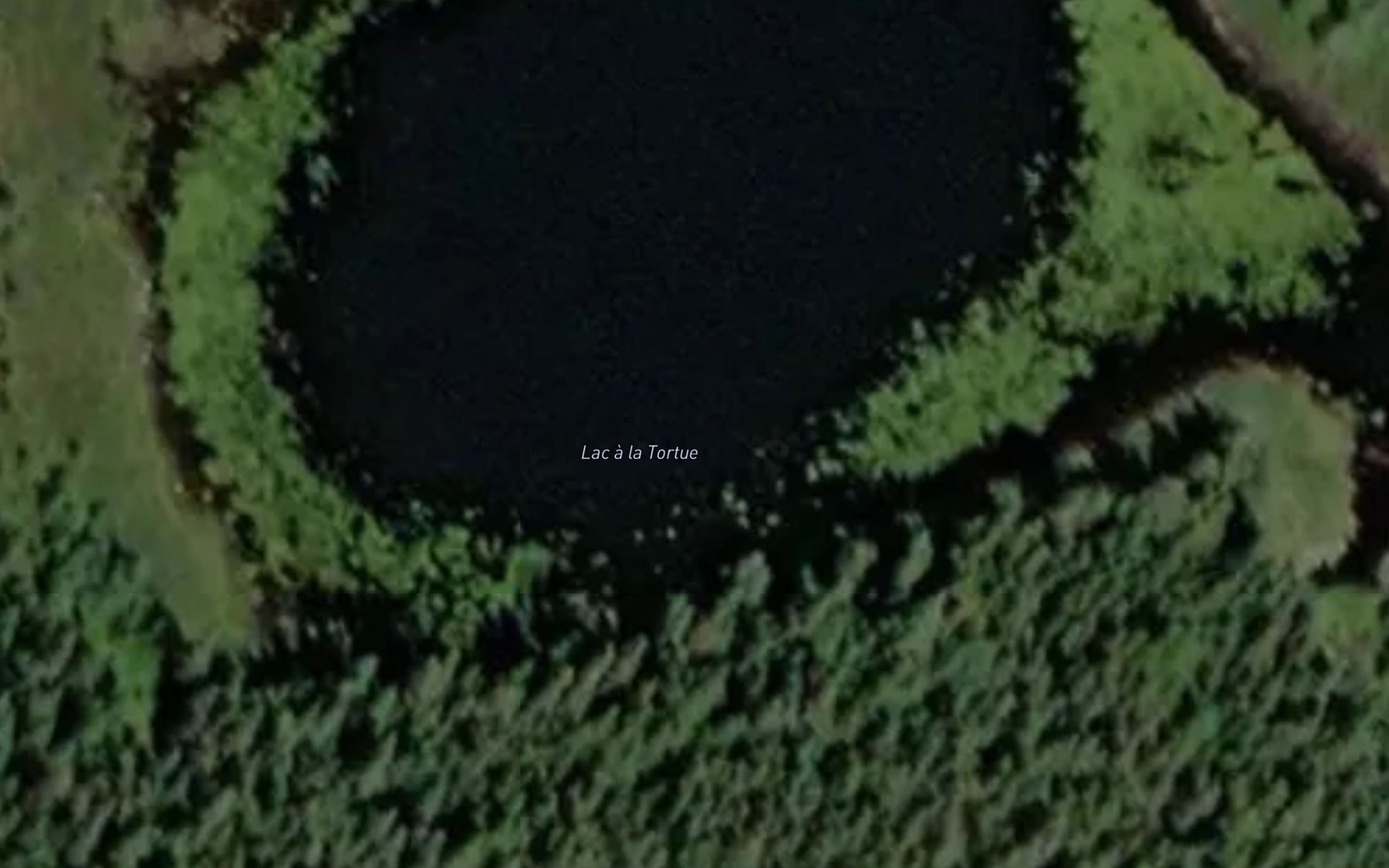 Satellite map of the Lac a la Tortue