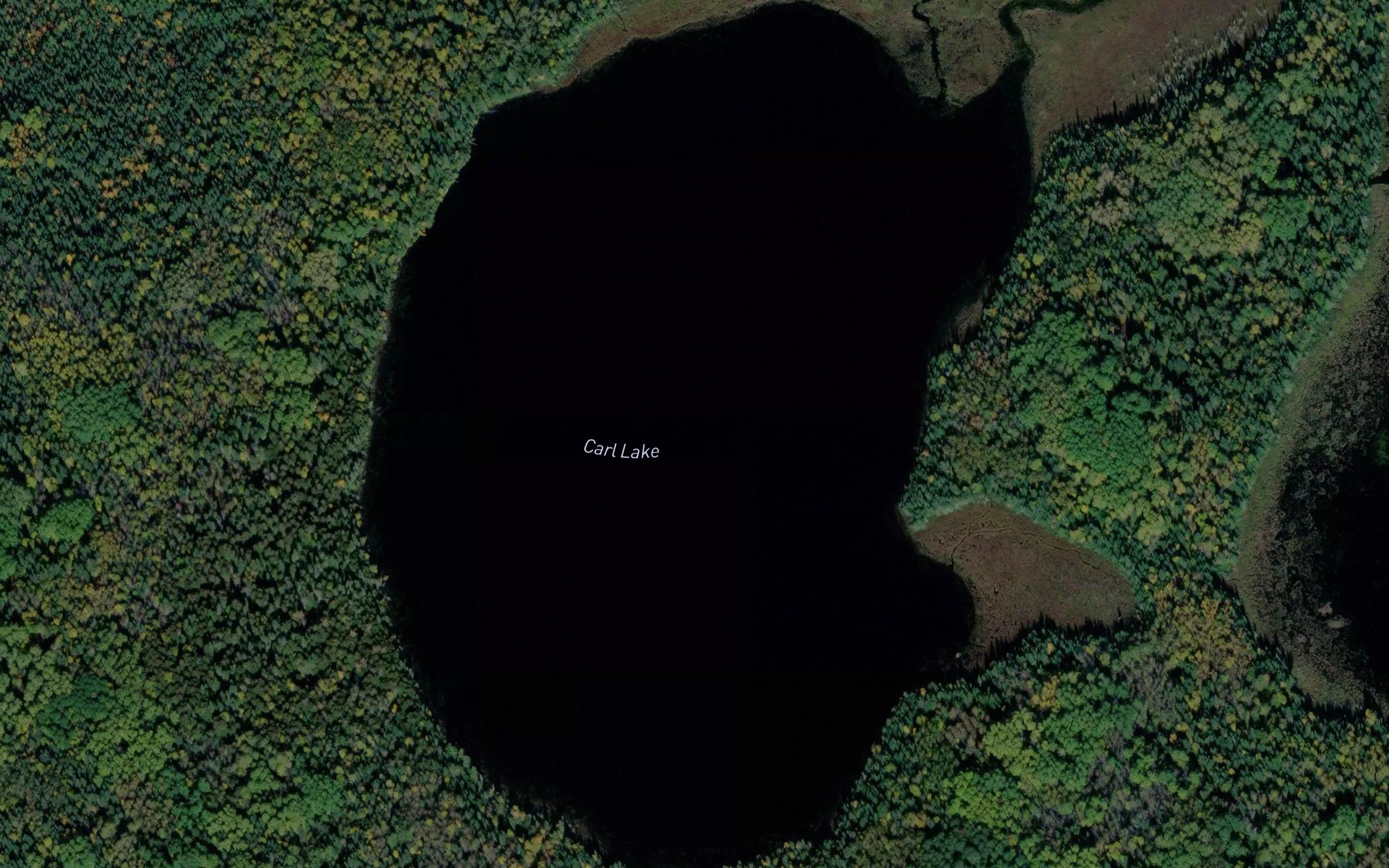 Carl Lake