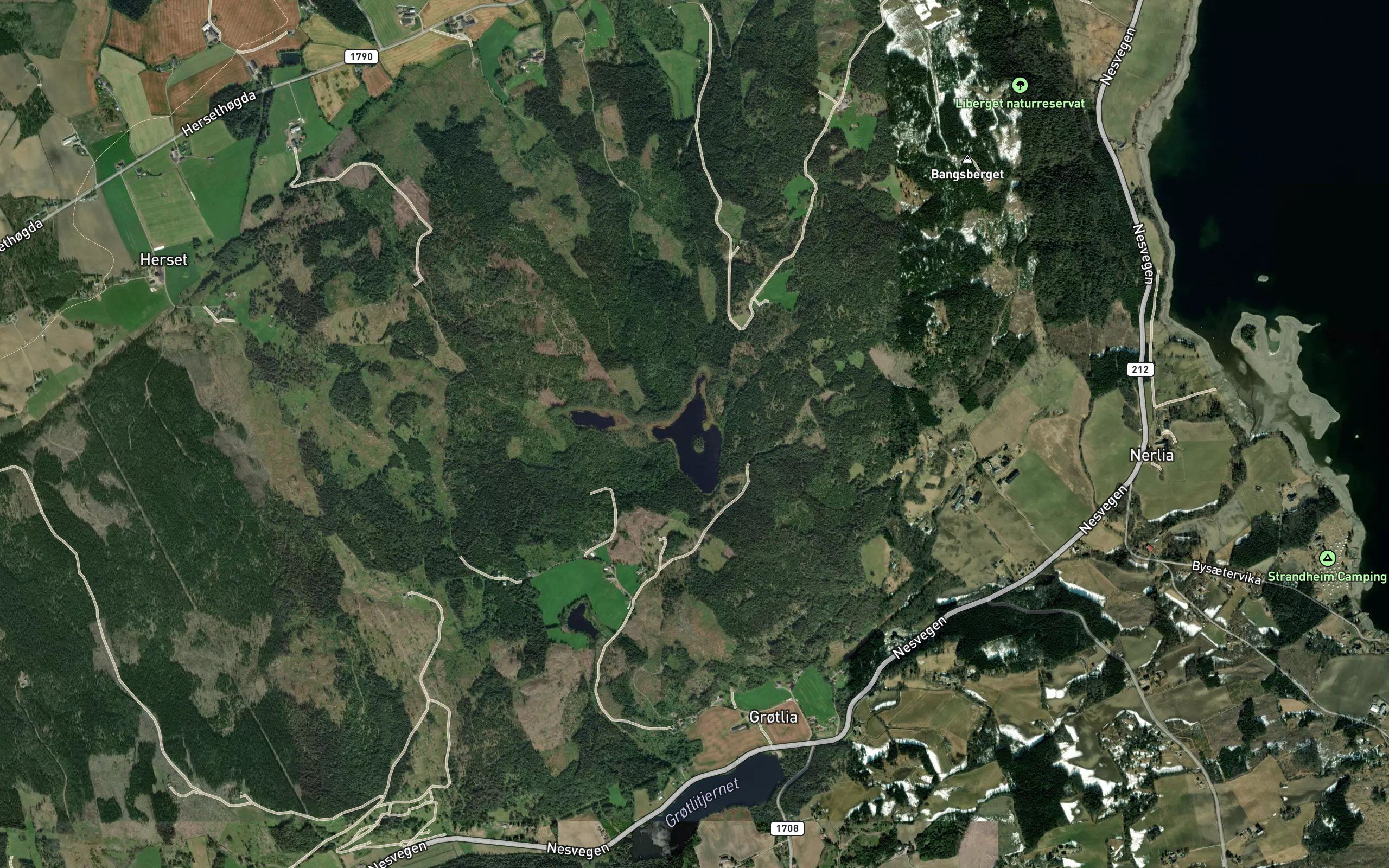 Haugtjennet