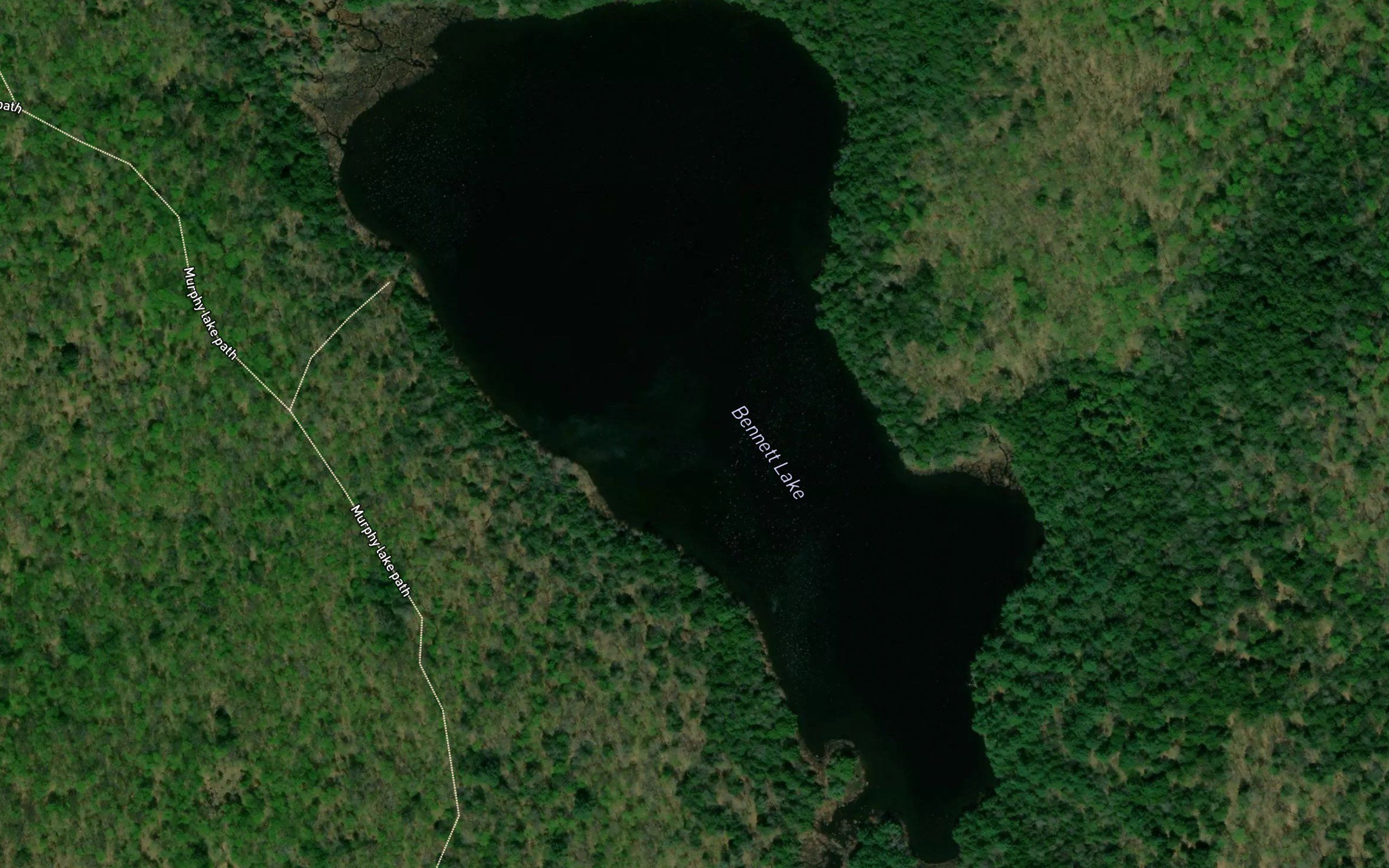 Bennett Lake