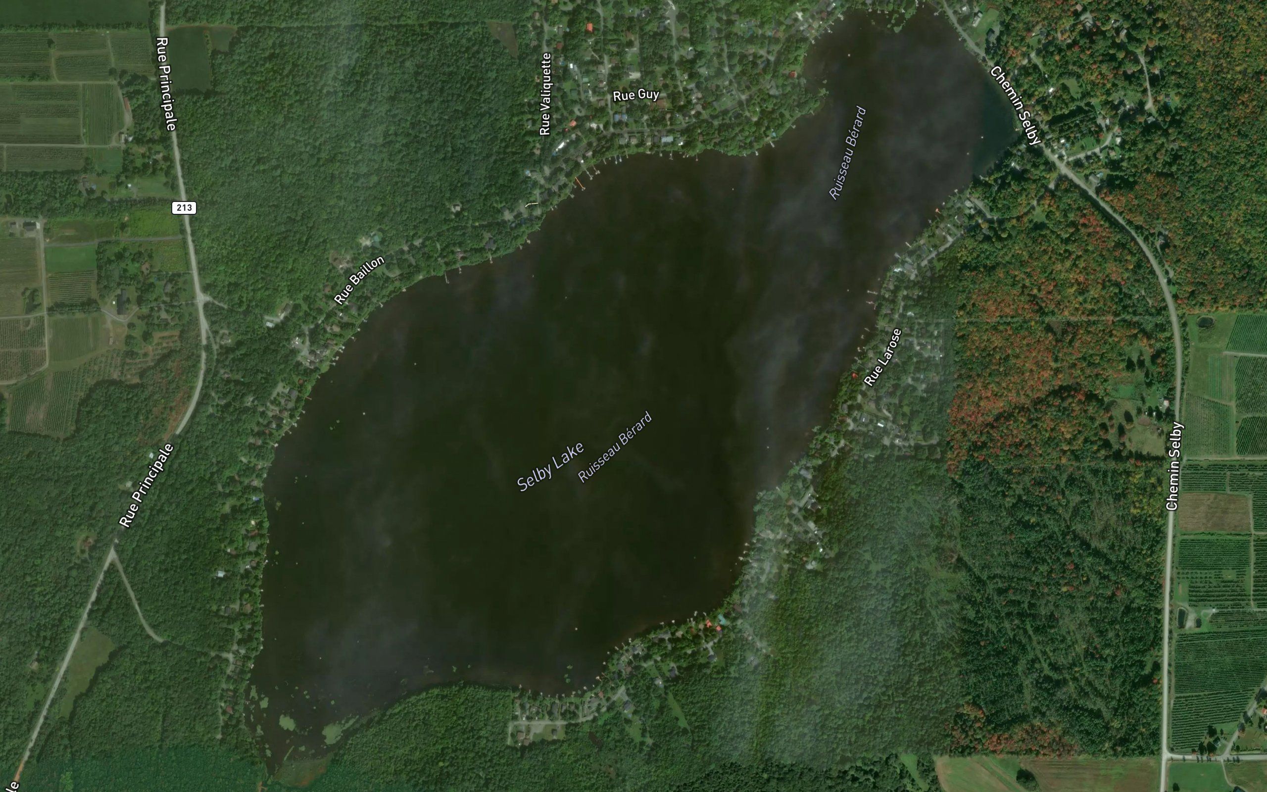 Lac Selby